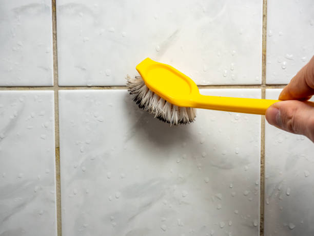 Best Professional Mold Removal  in Remerton, GA